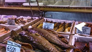 Na święta kupujemy pstrągi. Różnice w pochodzeniu i cenach są zauważalne