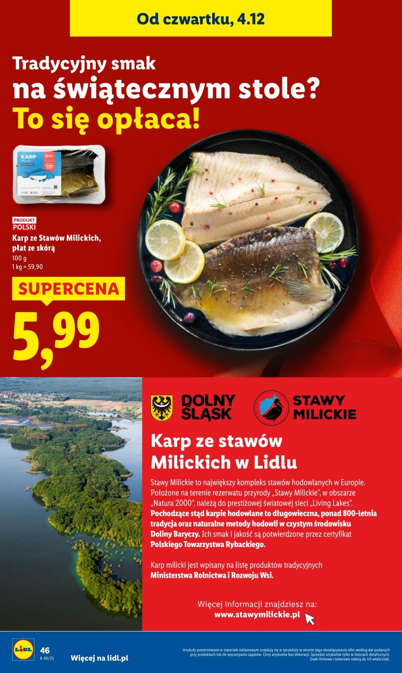Gazetka: Smaczne okazje na każdy dzień – Lidl - strona 48
