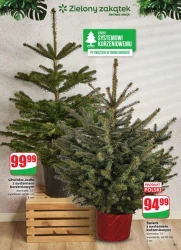 Rodzinne święta taniej - Dino