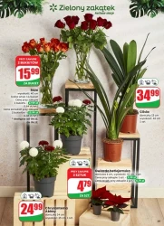 Rodzinne święta taniej - Dino