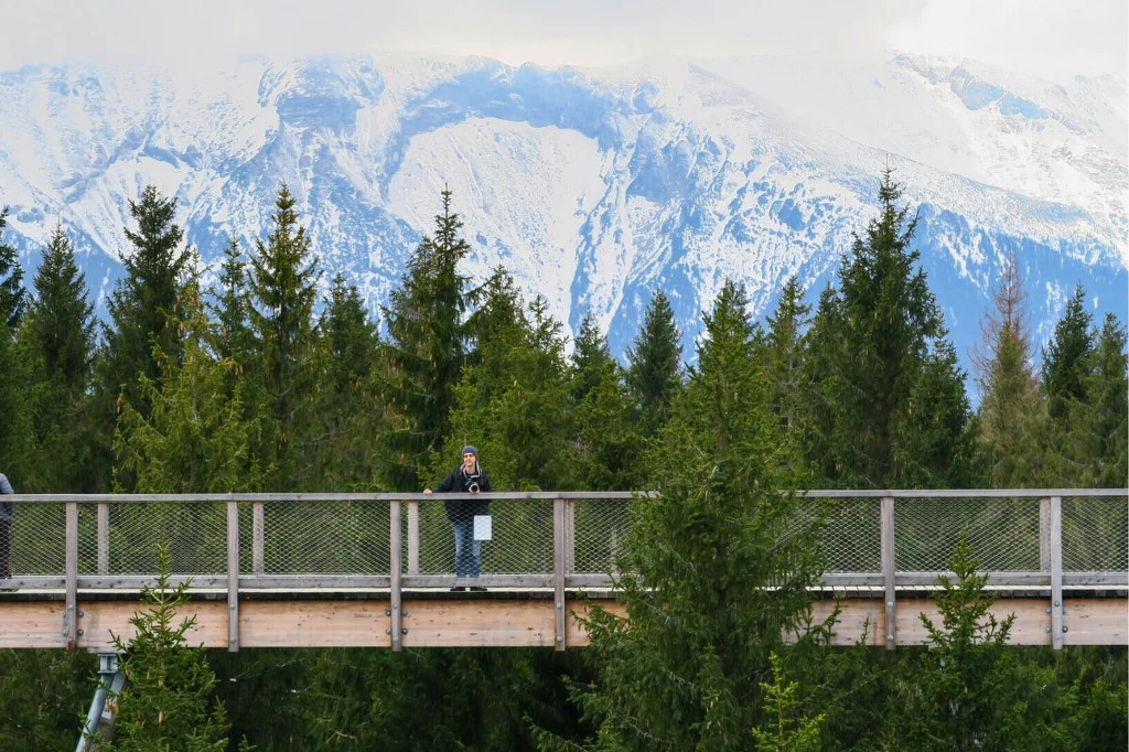 Osoba stojąca na drewnianej kładce zawieszonej wysoko ponad lasem iglastym, w tle ośnieżone szczyty gór