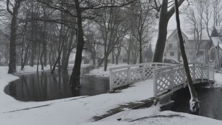 Zimowy spacer wzdłuż Potoku Oliwskiego jest wspaniałą przygodą