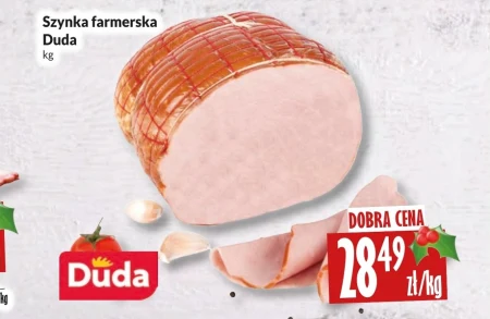 Шинка Duda