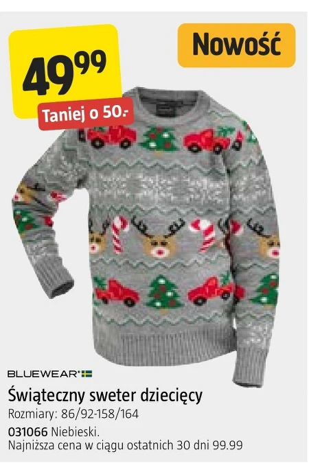 Sweter dziecięcy Bluewear