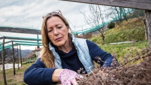 Zimą wstrzymaj się z przewracaniem kompostu, aby nie tracić cennego ciepła z wnętrza pryzmy.