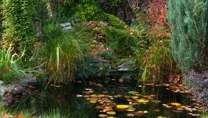 Pamiętaj, by zimą zabezpieczyć swoje oczko wodne.