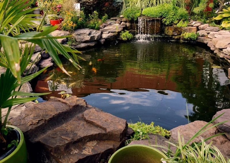 Oczko wodne to najpiękniejsza ozdoba ogrodu.