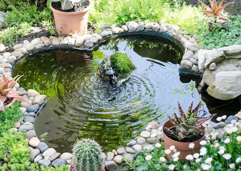 Nie dopuszczaj by woda w oczku wodnym całkowicie zamarzła zimą.