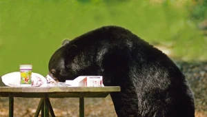 Coś ciągle ruszało się pod podłogą. Mężczyzna zamontował kamerę i zamarł