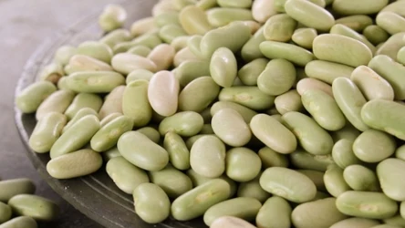 Fasola flageolet jest nazywana również flażoletką.