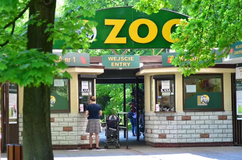 Wejście do zoo z widocznym dużym napisem ZOO nad kasami, drzewa okalające teren, osoba z wózkiem stojąca przy okienku kasowym.