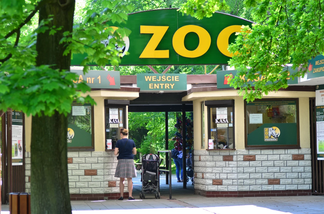 Doszło do kolejnego wypadku w poznańskim zoo Wejście do zoo z widocznym dużym napisem ZOO nad kasami, drzewa okalające teren, osoba z wózkiem stojąca przy okienku kasowym.