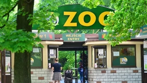Prokuratura oskarża dyrektorkę polskiego zoo. Szkody na ponad 100 tys. zł