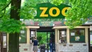 Doszło do kolejnego wypadku w poznańskim zoo