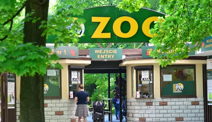 Byłej dyrektorce zoo w Poznaniu grozi 10 lat więzienia