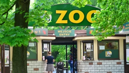 Doszło do kolejnego wypadku w poznańskim zoo