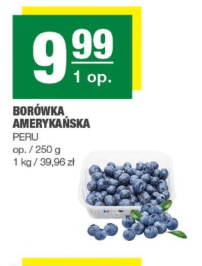 Borówka amerykańska niska cena