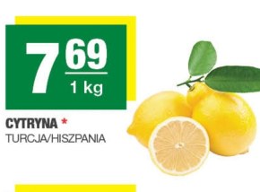 Cytryna niska cena