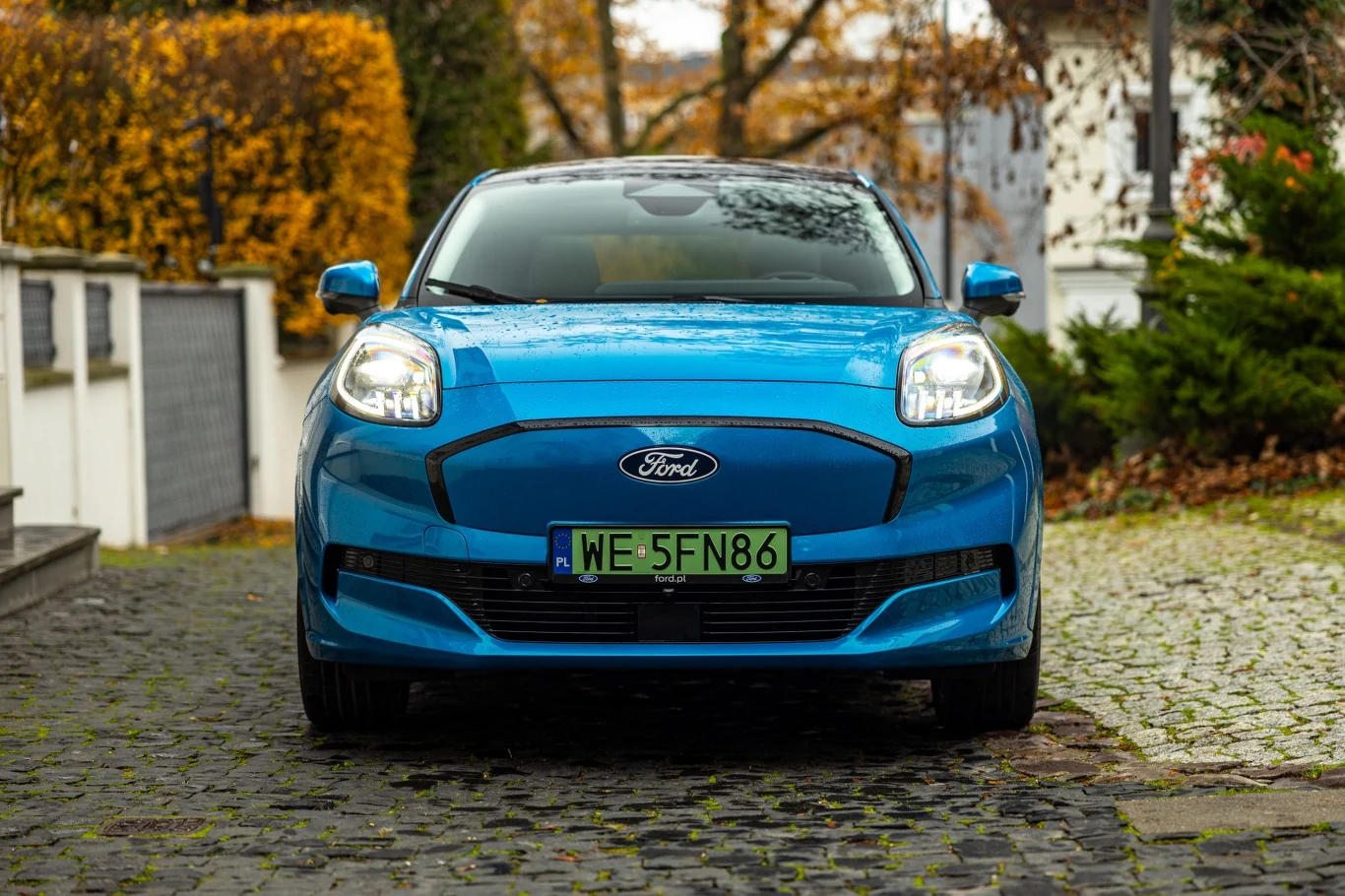 Jasnoniebieski samochód osobowy marki Ford na brukowanej nawierzchni, widoczny od przodu, otoczenie stanowi ozdobny ogród z jesienną roślinnością i elementami architektury ogrodowej.