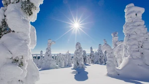 Laponia bez świątecznego lukru. O północnym krańcu Europy w wersji nieoczywistej