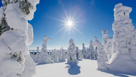 Laponia bez świątecznego lukru. O północnym krańcu Europy w wersji nieoczywistej