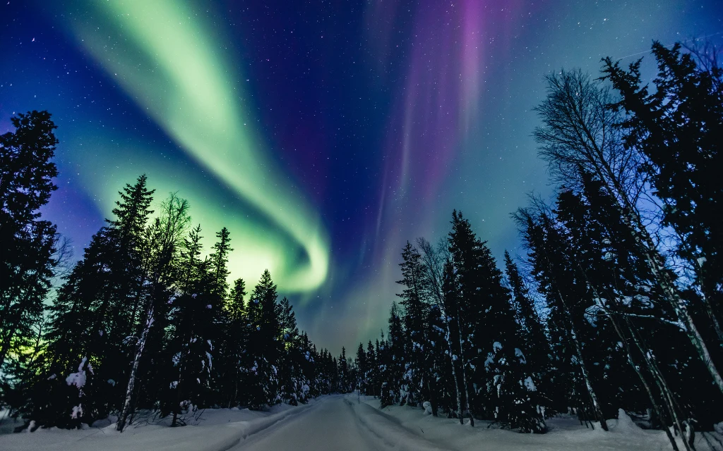 Zorza polarna w Laponii