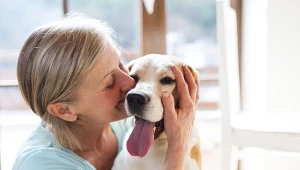 Związki kontra zwierzęta. Czy futrzak może dać tyle szczęścia co partner?