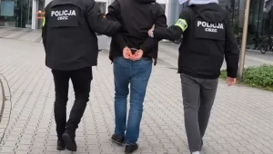 Wielka akcja służb. Setka zatrzymanych, zabezpieczono 600 tys. plików