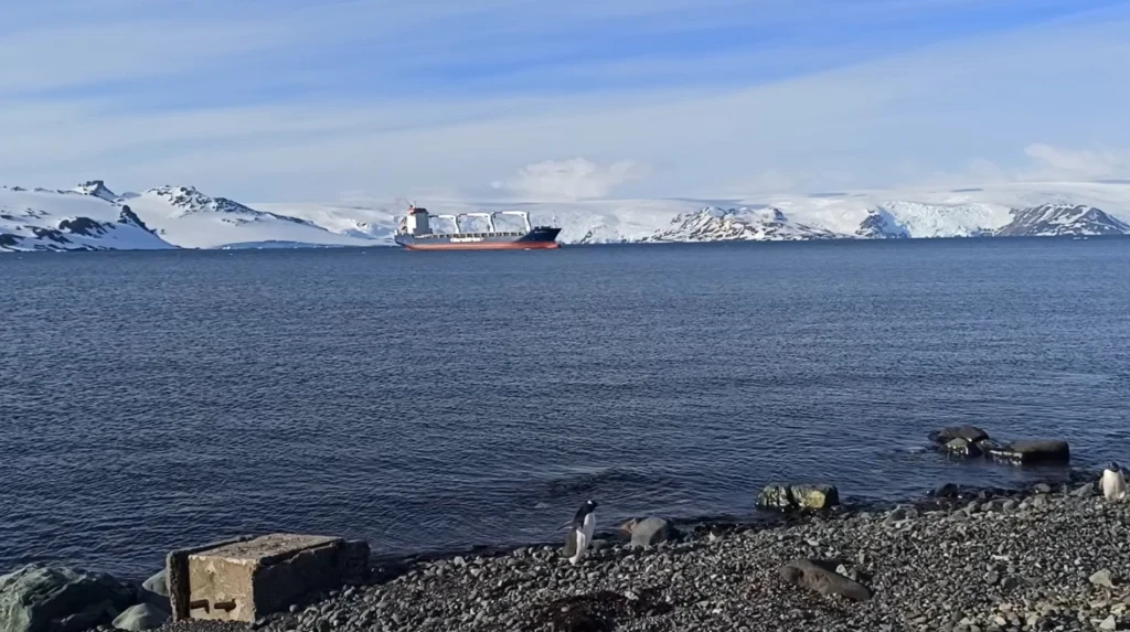 Zimowy krajobraz z widokiem na zatokę otoczoną ośnieżonymi górami, statek płynący po wodzie oraz pingwin stojący na kamienistej plaży na pierwszym planie.