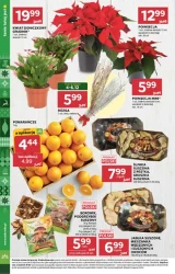 Sezon promocji – Stokrotka Supermarket