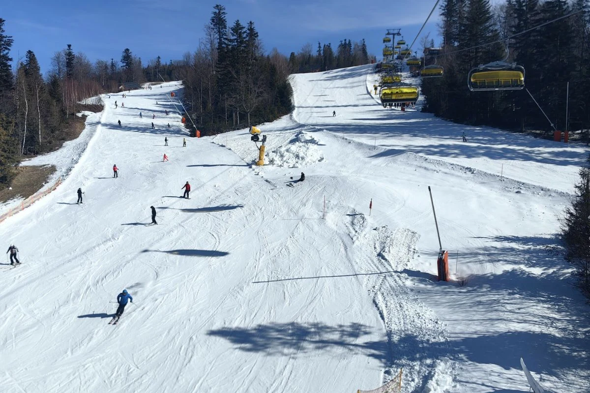 Sezon narciarski w Szczyrku rozpocznie się już w ten weekend Stok narciarski z licznymi narciarzami zjeżdżającymi w różnych kierunkach, po prawej stronie widoczny wyciąg krzesełkowy biegnący w górę stoku, całość otoczona lasem iglastym pod błękitnym niebem.