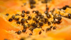 Regulują trawienie i cholesterol. Jedz owoce i sprawdź, jak działają pestki