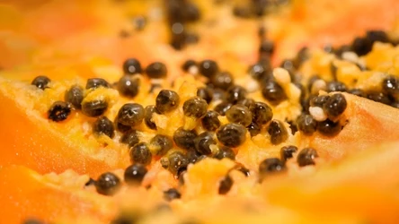 Papaja to owoc bogaty w witaminy, minerały i antyoksydanty 