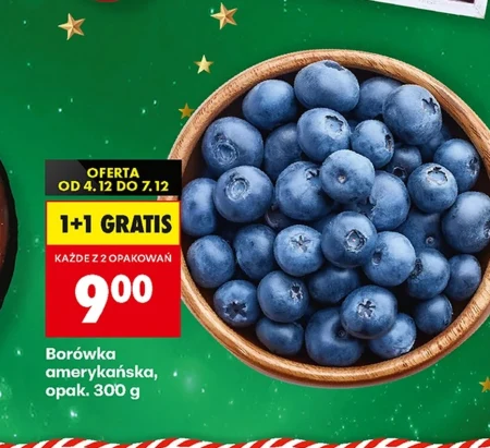 Borówka amerykańska