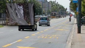 Inwazyjny ssak niemal w samym środku Warszawy. To znaczy, że mamy problem