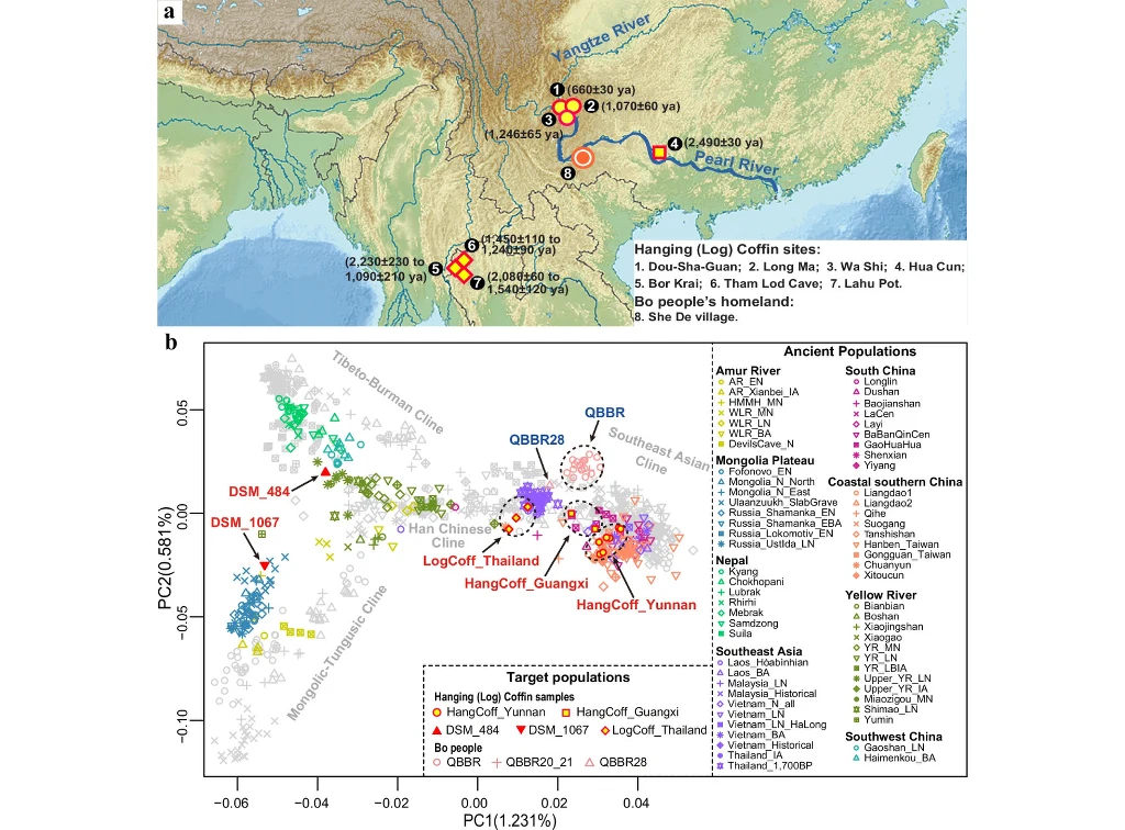 Kolorowa mapa przedstawiająca region południowych Chin i Azji Południowo-Wschodniej z zaznaczonymi lokalizacjami stanowisk archeologicznych, powiązanych z trumnami wiszącymi, oraz wykres PCA ilustrujący rozmieszczenie populacji starożytnych i docelowyc...