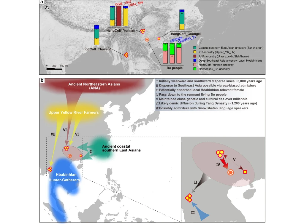 Kolorowa mapa Azji Wschodniej i Południowo-Wschodniej z zaznaczonymi miejscami odkryć archeologicznych oraz wykresami słupkowymi przedstawiającymi proporcje genetyczne różnych starożytnych grup ludzkich, z opisami tras migracji historycznych populacji.