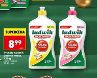 Płyn do naczyń Ludwik