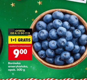 Borówka amerykańska niska cena