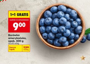 Borówka amerykańska niska cena