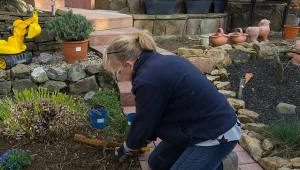 Ryjówka jest mile widzianym gościem w naszych ogrodach.