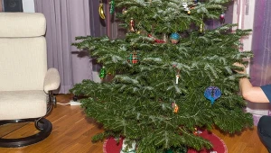 Takiego stojaka na choinkę nie kupuj. Będzie niestabilny i niepraktyczny