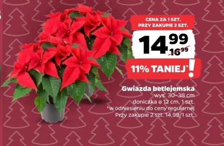 Вифлеємська зірка