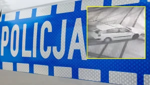 Kuriozalna kolizja w oku kamery. Policja szybko wyjaśniła przyczynę