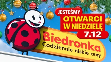Masło za grosze, sery 2+1 i słodycze -50%! Najlepsze okazje na niedzielę handlową w Biedronce