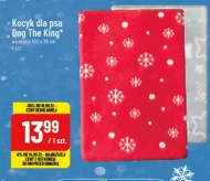 Akcesoria dla psa Dog the King