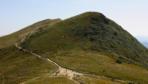 Niezwykłe odkrycie w Bieszczadach. To nie jedyny taki przypadek w Polsce