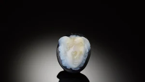 Odkryli starożytną głowę Meduzy. Chcą ją ujawnić ludziom