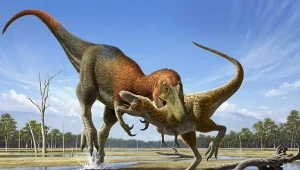 Tajemnica legendarnego dinozaura rozwiązana. Pomogła niewielka kość