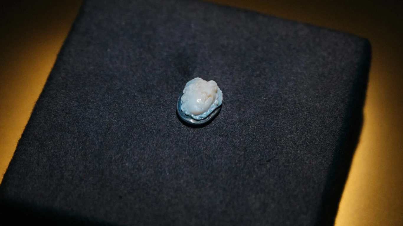 Pojedynczy ludzki ząb leży na czarnym materiale, oświetlony punktowym światłem, które podkreśla detale jego powierzchni.